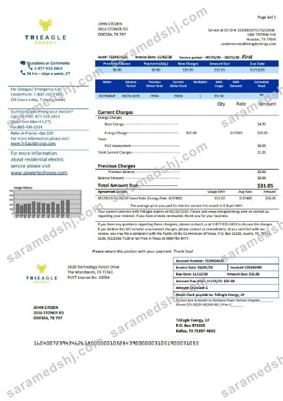 USA Texas TriEagle utility bill template in Word and PDF (.doc and .pdf) format